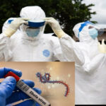 Ebola