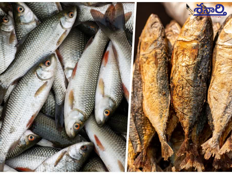 Fish