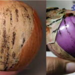 Onions