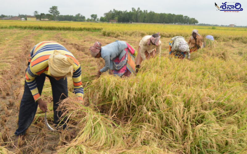 Farmers