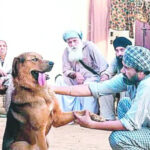 Punjab