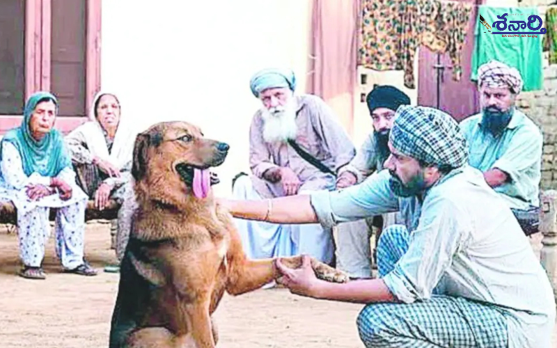 Punjab