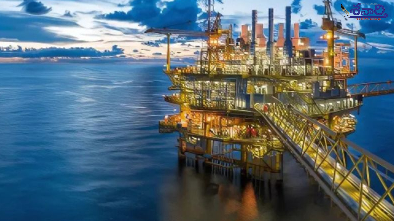 Oil